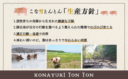 こな雪とんとん　えこりん村ポークカレー　200g×3箱【19006501】