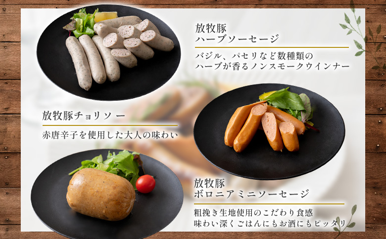 【定期便：5回】【ご自宅用】北海道産放牧豚 無添加ウインナーセット ×2セット【12003401】