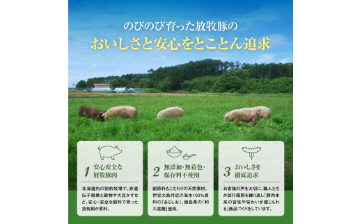 北海道産放牧豚 無添加ウインナーセット【12000202】