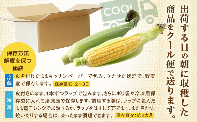 【北海道恵庭市産】朝どりスイートコーン×20本 北海道産 とうもろこし ふるさと納税 北海道 恵庭市【31000103】
