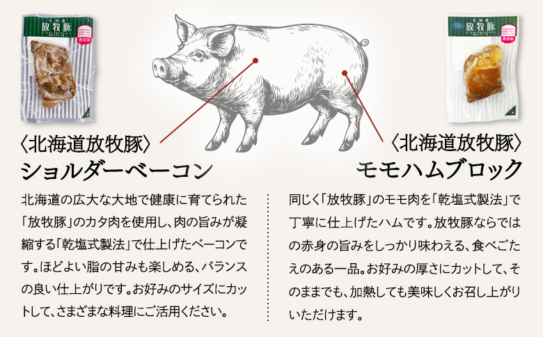 「北海道放牧豚ショルダーベーコンとモモハムブロック」とトモヱベーグル「北の麦輪」10個セット【C9903101】