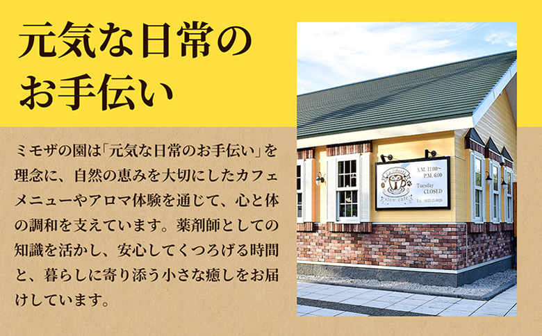 【定期便：全11回】自家製コーヒー豆 ドリップバック10個入×3セット【A20042】