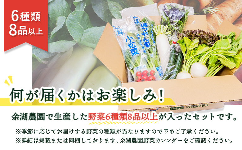 北海道産季節の野菜詰め合わせ 6種類8品【31000503】