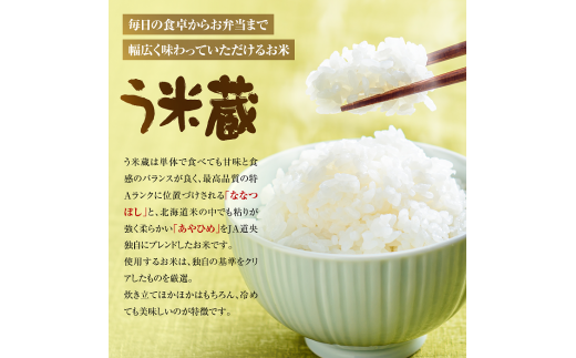 【無洗米】北海道米う米蔵5kg×2（計10kg）【29002304】