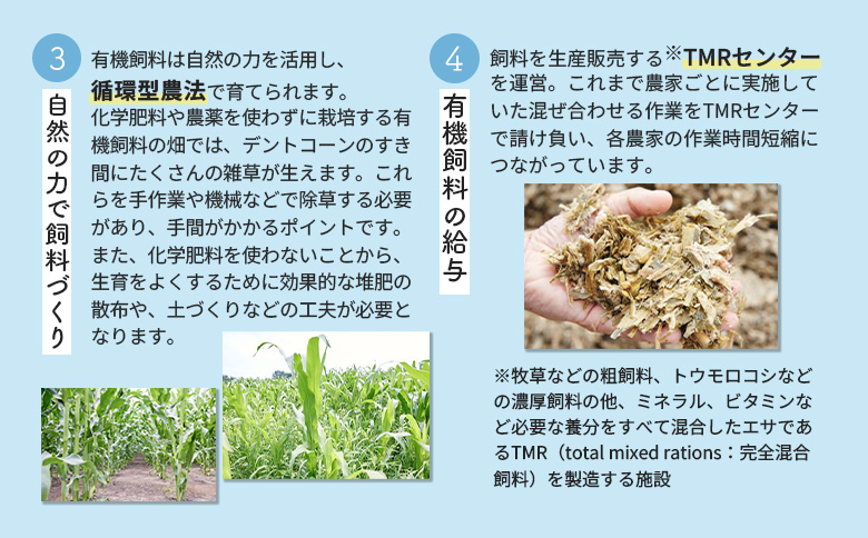 《配送地域限定》【定期便2回】明治オーガニック牛乳 900ml【4本】【73000401】