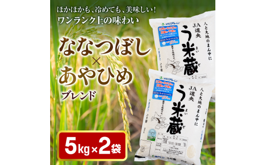 北海道米う米蔵10kg(5kg×2袋)セット【29002404】