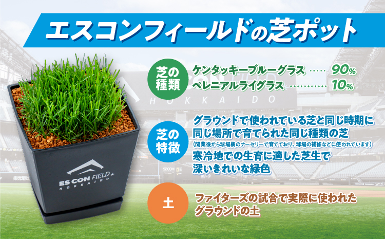 【ファイターズふるさと納税限定受注】エスコンフィールドの芝ポッド【寄附頂いた翌月中旬発送】