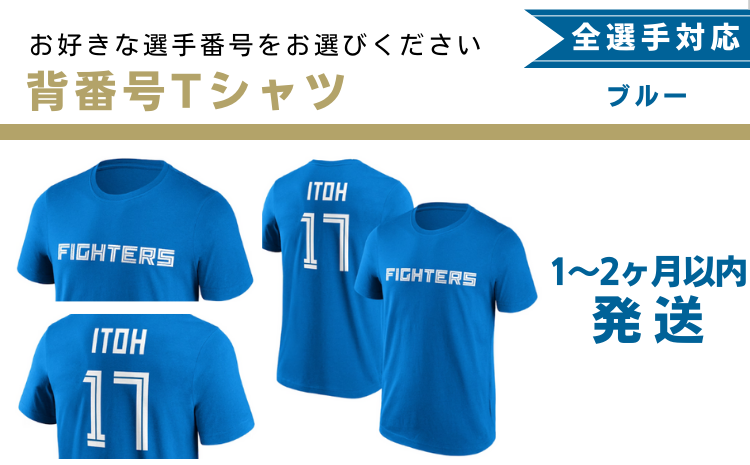 【全選手対応】背番号Ｔシャツ　ブルー XLサイズ