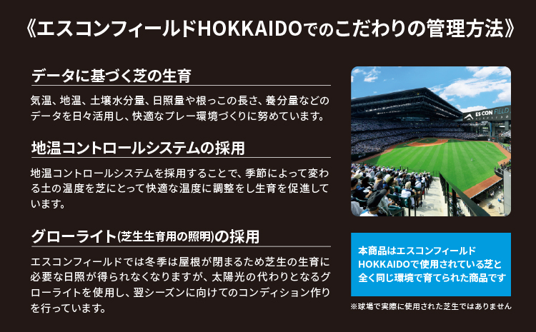 【ファイターズふるさと納税限定受注】エスコンフィールドの芝ポッド【2025年5月中旬発送予定】