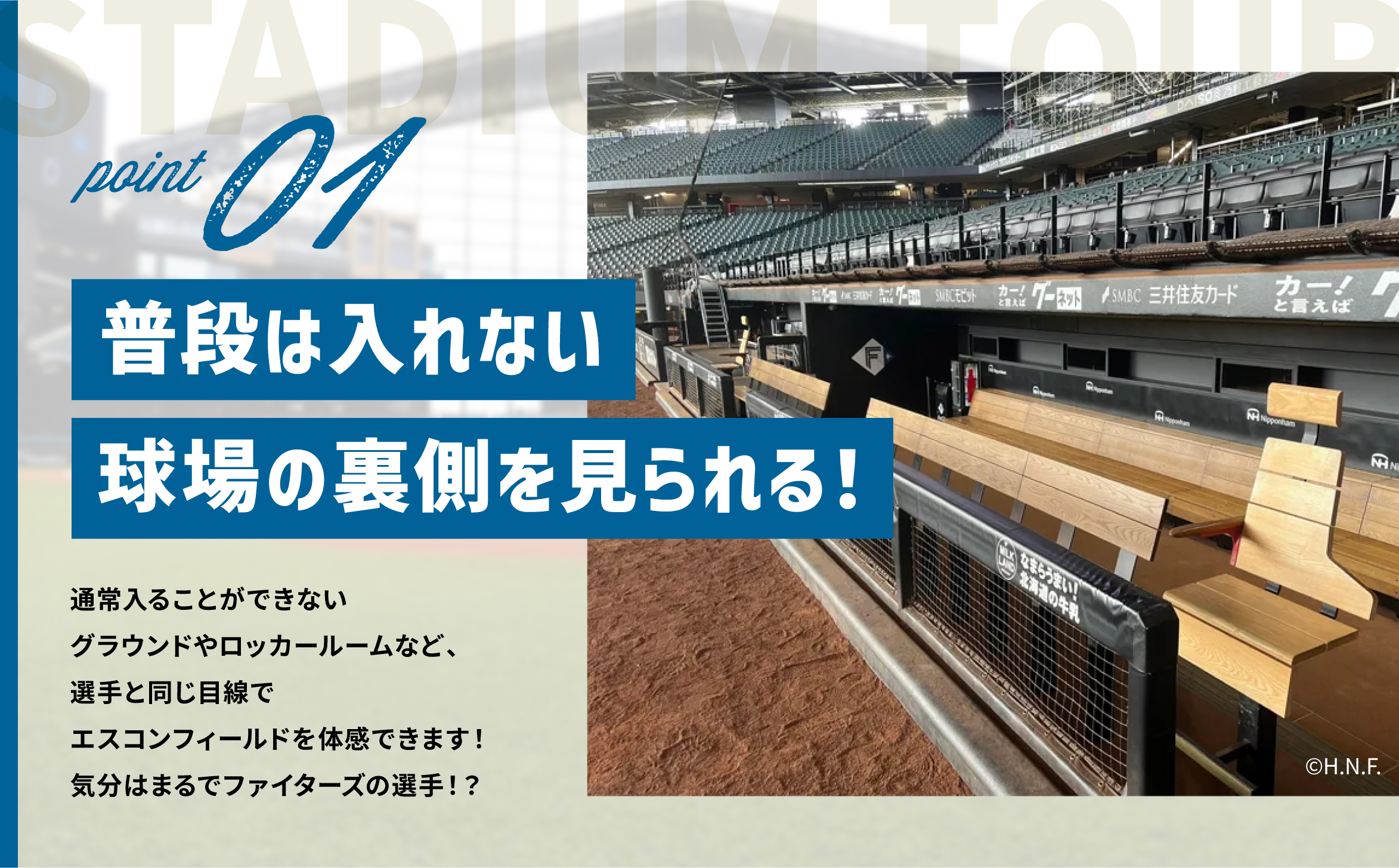 【ES CON FIELD HOKKAIDO スタジアムツアー】ベーシックツアー（大人）電子クーポン