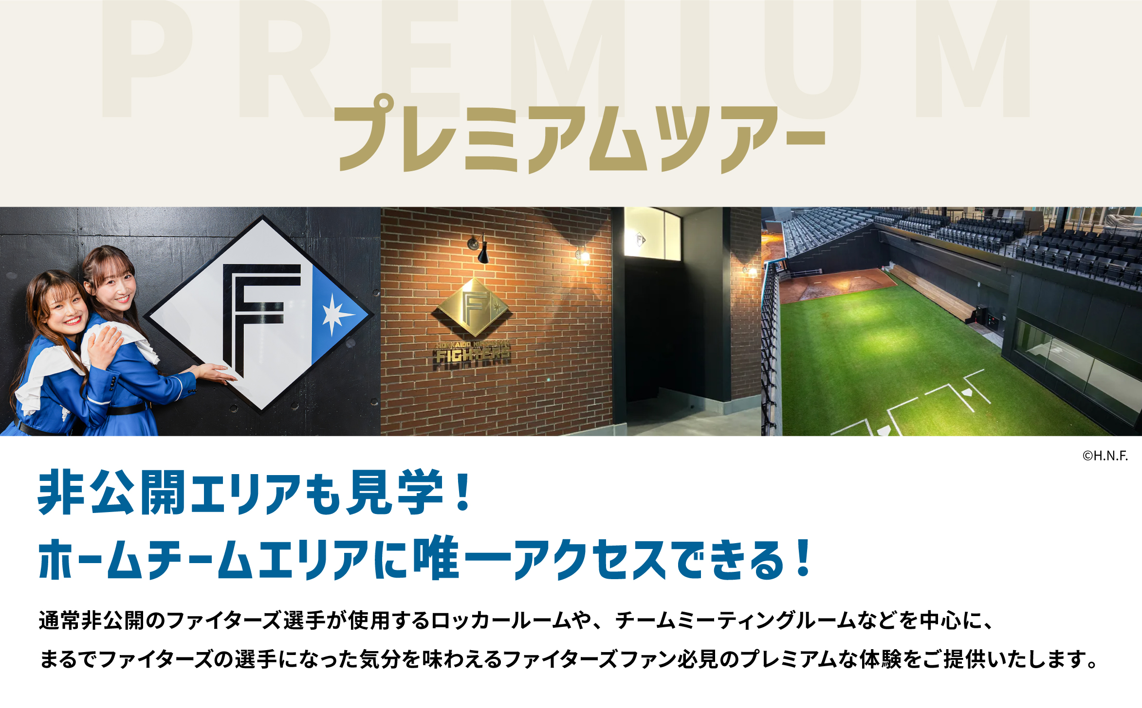 【ES CON FIELD HOKKAIDO スタジアムツアー】プレミアムツアー（大人）電子クーポン