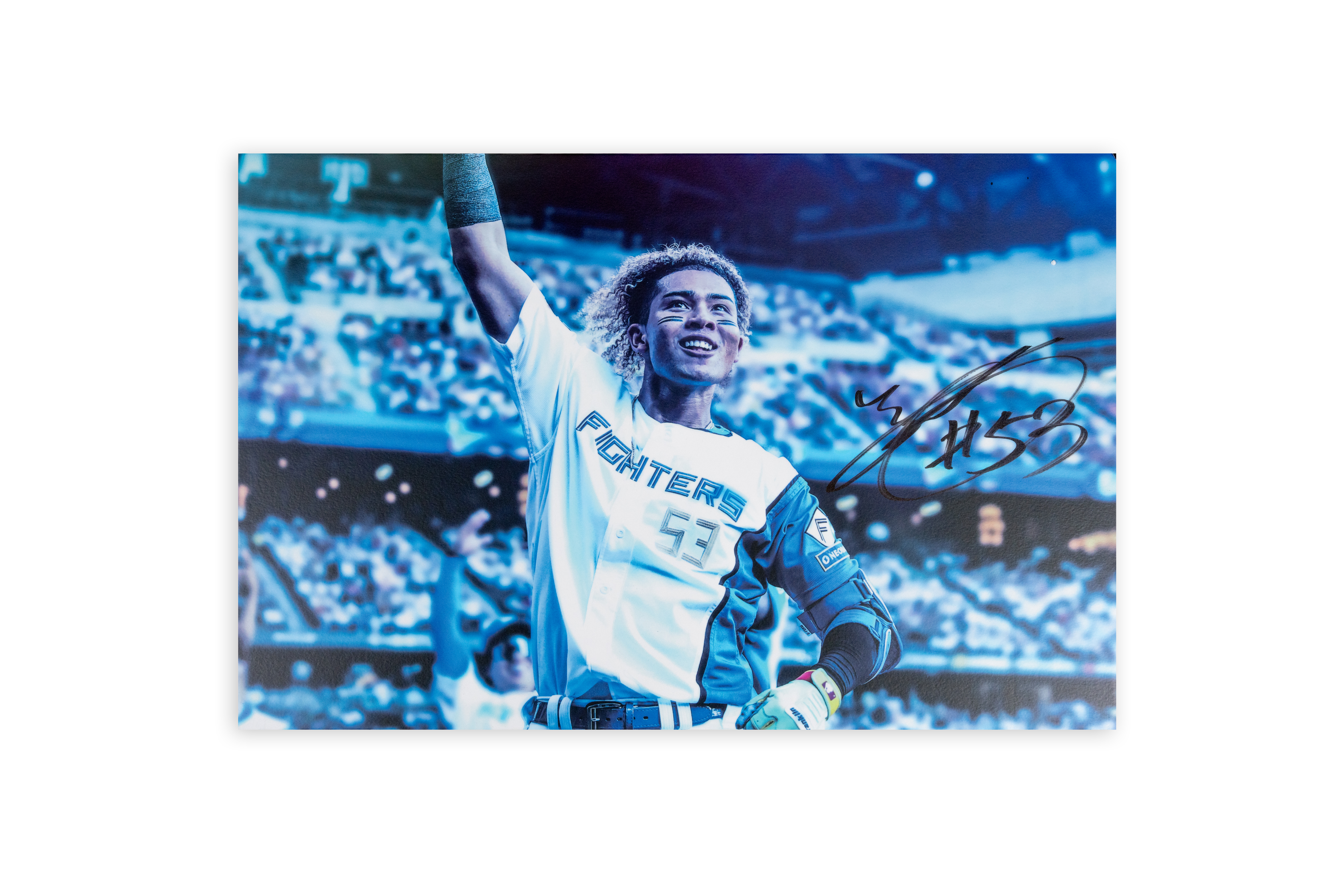 【水谷瞬#53】「まだ見ぬ景色を、エスコンで。」パネル（Sサイズ）【選手直筆サイン入り】