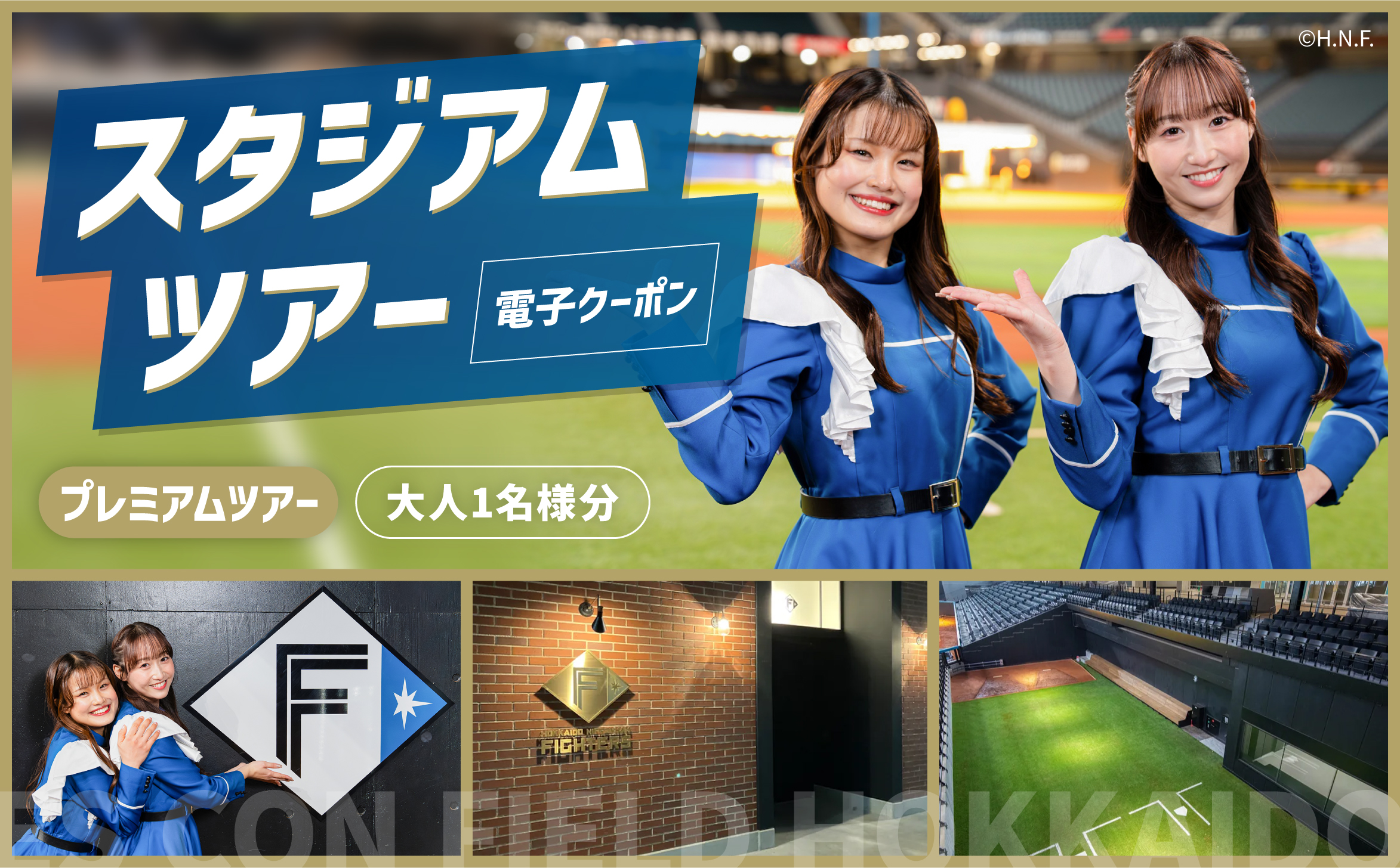 【ES CON FIELD HOKKAIDO スタジアムツアー】プレミアムツアー（大人）電子クーポン