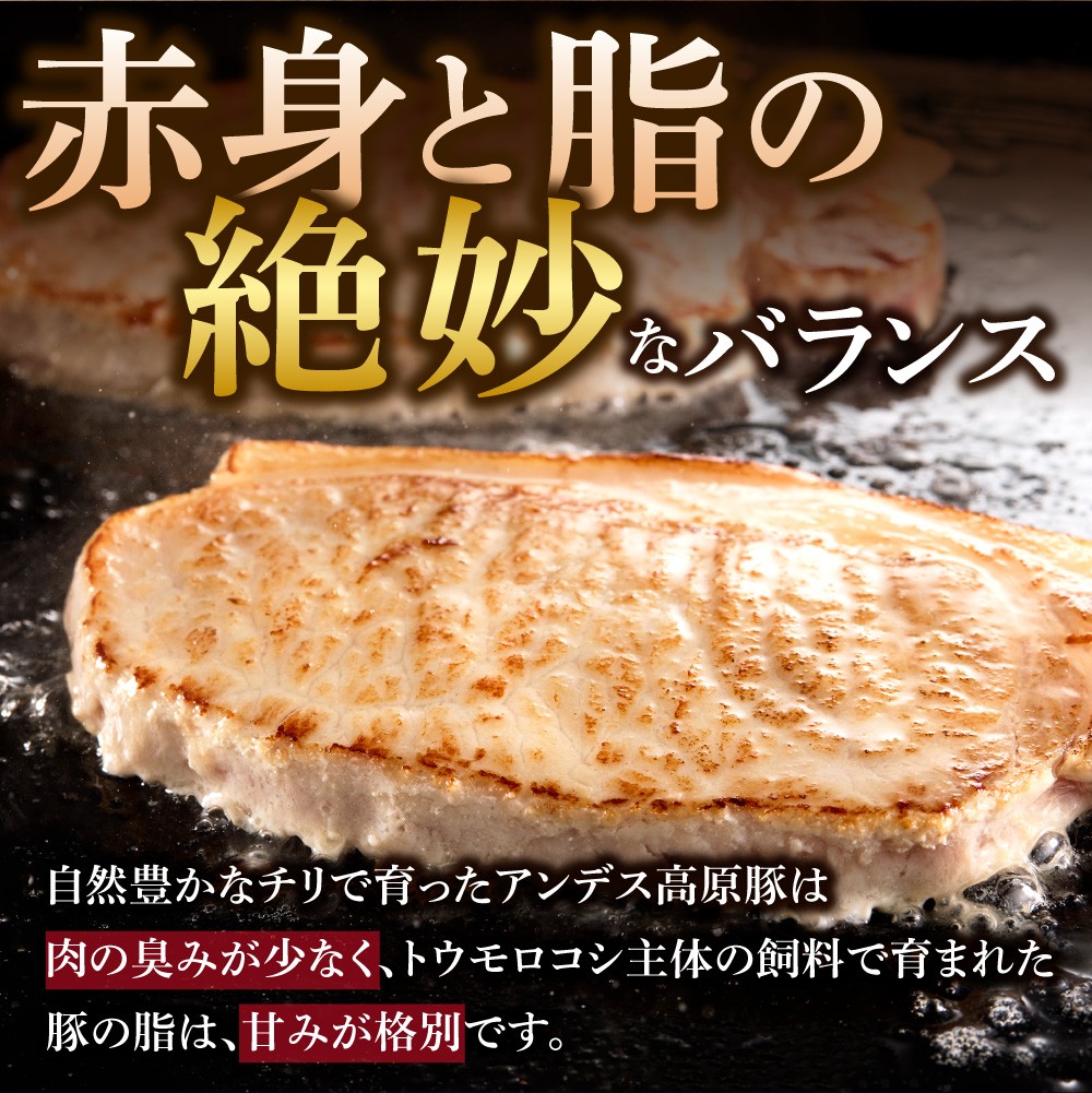 やわらか厚切りポークロース 960g（120g×8枚入）| ホクビー 豚肉 ロース ハンバーグ 北海道 石狩市
