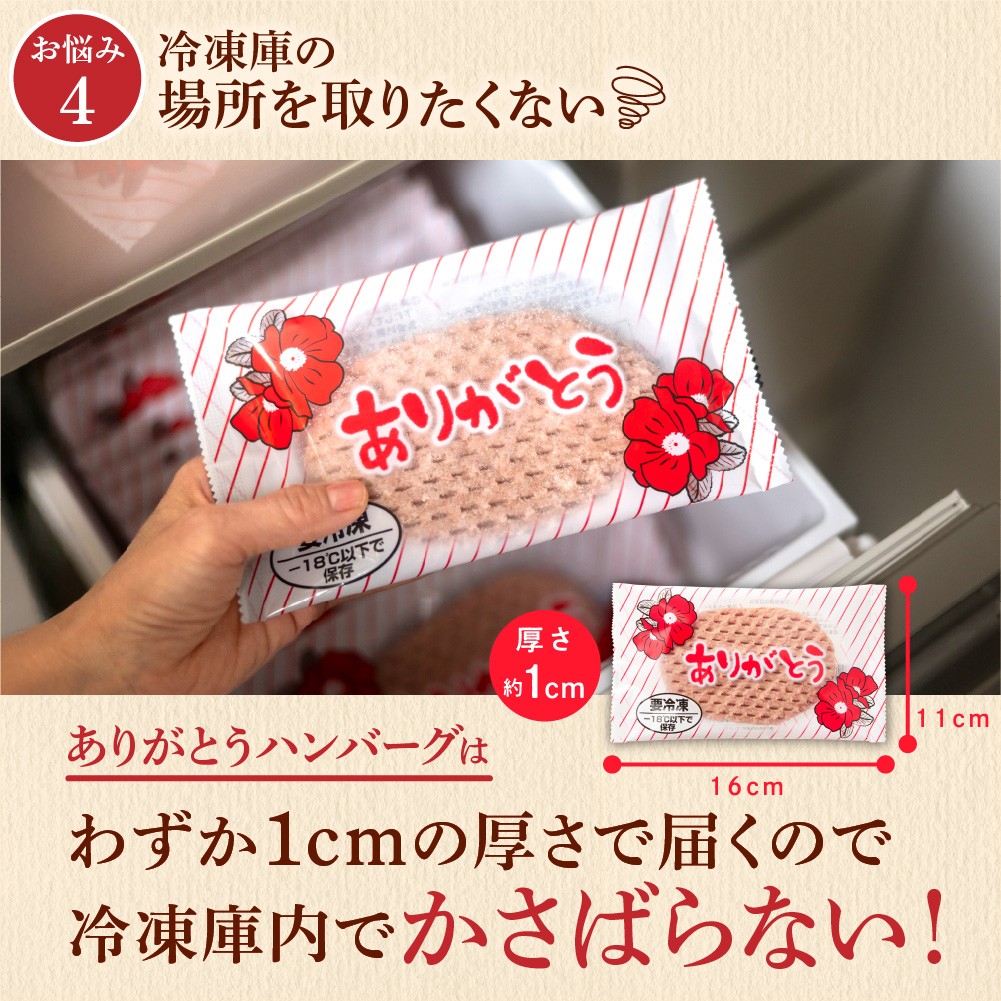 【定期便4回】北海道産ありがとうハンバーグ(90g×18個)定期便