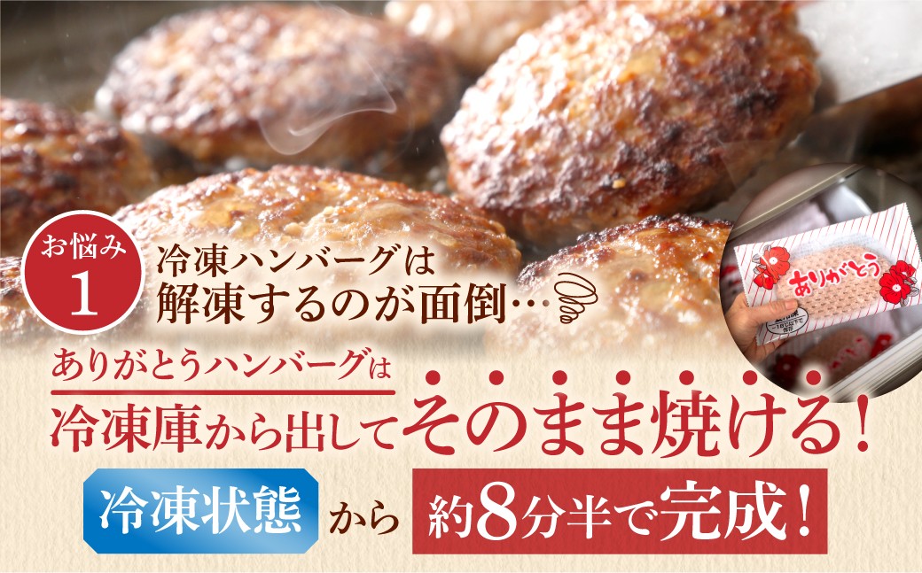 【冷凍したまま焼ける・北海道産牛100％】北海道産ビーフハンバーグ(ありがとう)(90g×6)
