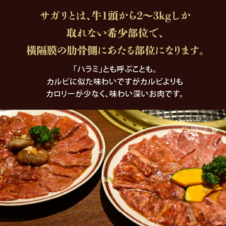 メルティークサガリブロック（3Kg）【牛脂注入肉】(業務用) | 牛肉 さがり ハラミ 北海道 石狩市