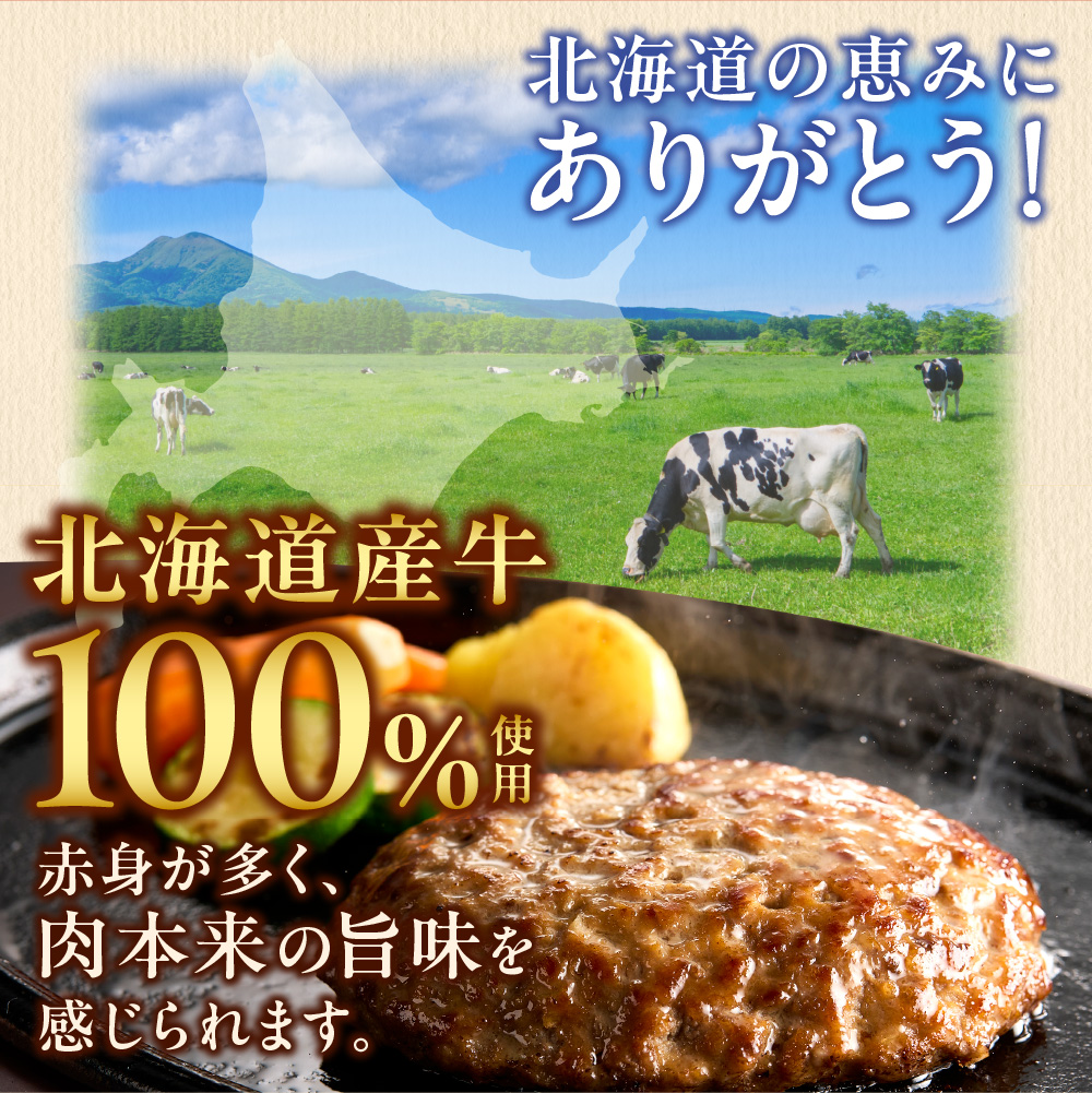 北海道産ありがとうハンバーグ90g×12