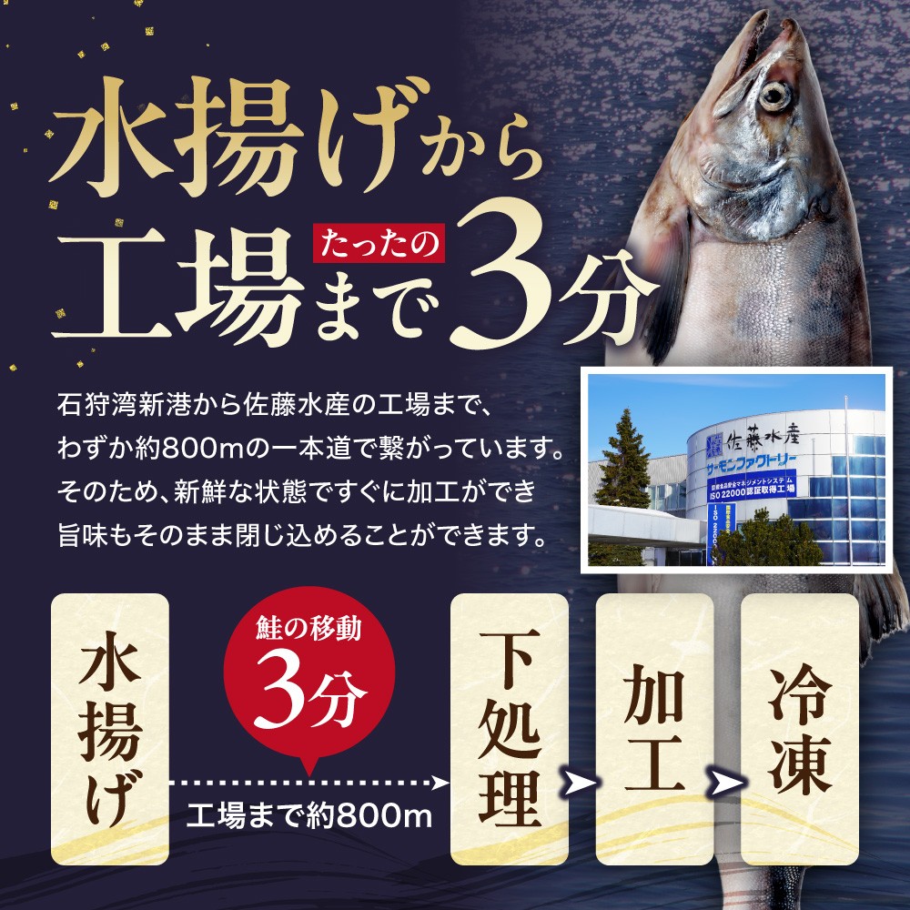 佐藤水産 いくら増量鮭ルイベ漬（540g）｜ふるさと納税 サケ いくら 魚卵 海鮮 北海道 石狩市