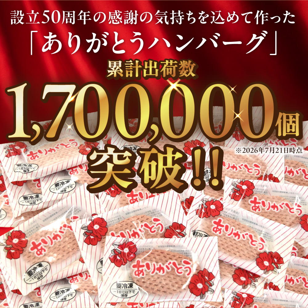 北海道産ありがとうハンバーグ90g×12