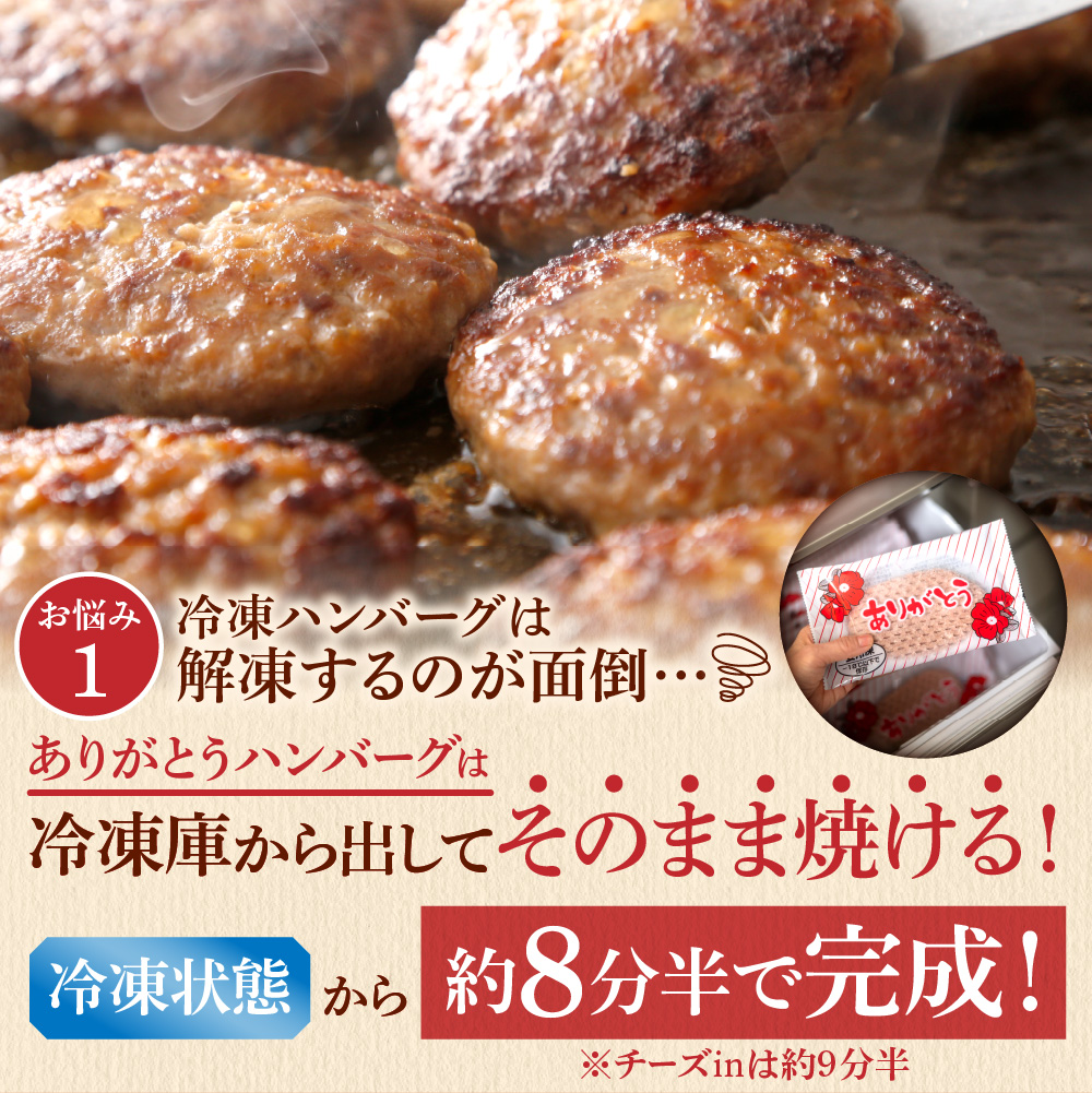 北海道産ありがとうハンバーグプチセット（ありがとうハンバーグ90g×4・チーズ90ｇ×2）