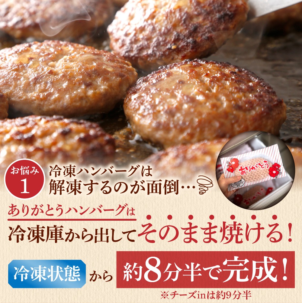 【定期便4回】北海道産ありがとうハンバーグ(90g×18個)定期便