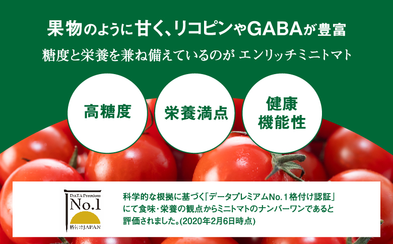【先行予約】エンリッチミニトマト 1kg ミニトマト お取り寄せ トマト とまと エンリッチ フルーツトマト フルーツミニトマト 野菜 ジュース 健康 栄養 GABA リコピン ふるさと納税 北海道 長万部町 長万部【070006】
