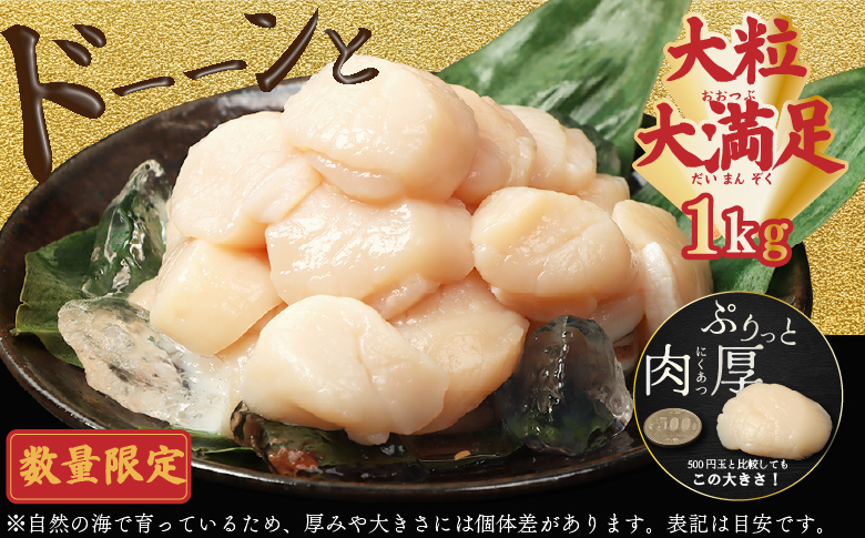 【在庫限り！数量限定】大粒ほたて貝柱　1kg【27002AA0101】