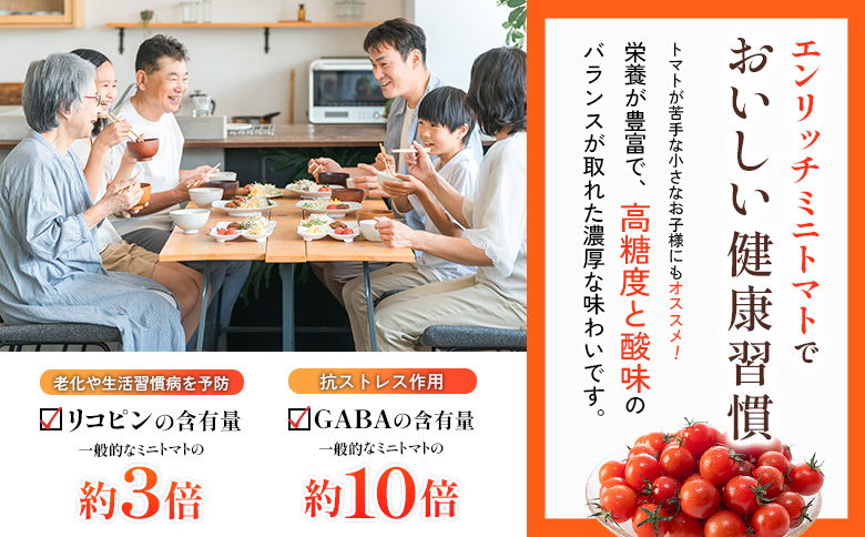 エンリッチミニトマト　ジュース・ジャム・ケチャップセット【070004】