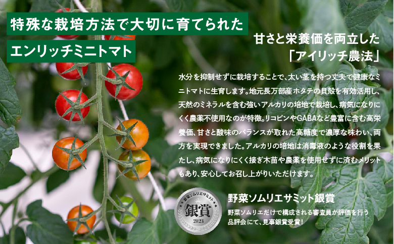 【先行予約】エンリッチミニトマト 1kg ミニトマト お取り寄せ トマト とまと エンリッチ フルーツトマト フルーツミニトマト 野菜 ジュース 健康 栄養 GABA リコピン ふるさと納税 北海道 長万部町 長万部【070006】