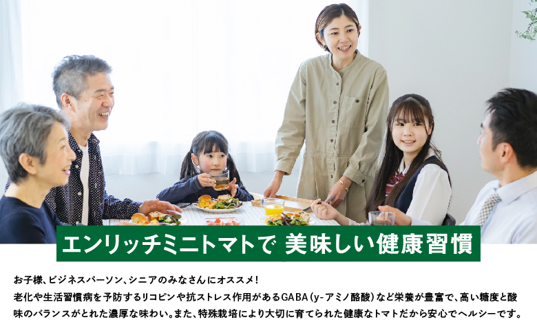 【先行予約】エンリッチミニトマト 1kg ミニトマト お取り寄せ トマト とまと エンリッチ フルーツトマト フルーツミニトマト 野菜 ジュース 健康 栄養 GABA リコピン ふるさと納税 北海道 長万部町 長万部【070006】