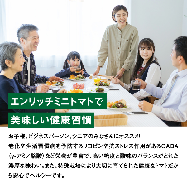 【先行予約】『定期便：全5回』 ミニトマト トマトジュース セット エンリッチミニトマト フルーツトマト フルーツミニトマト トマト 取り寄せ エンリッチ 野菜 ジュース 健康 栄養 定期便  ふるさと納税 北海道 長万部町 長万部【070003】