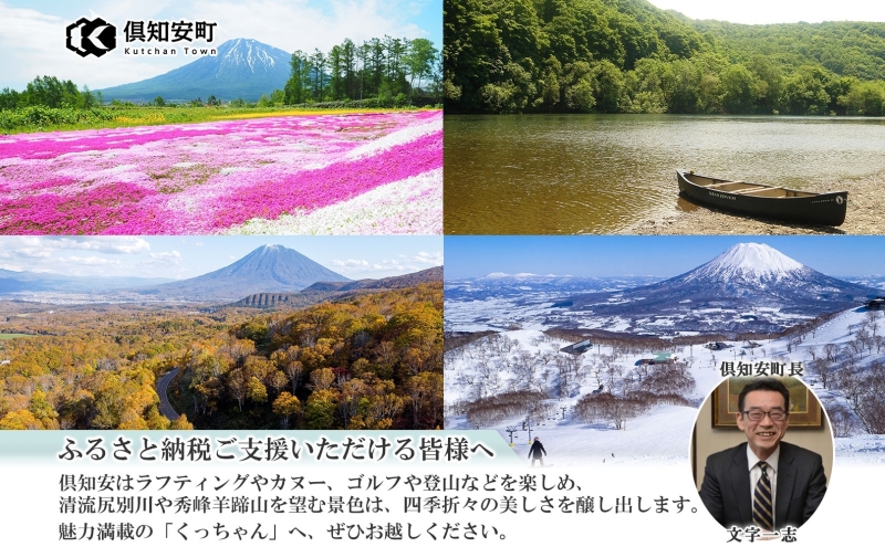 【2026.5楽天注目の寄付額の返礼品特集】倶知安 チキンレッグスープカレー 計3個 中辛 北海道 レトルト 食品 チキンカレー スープカレー 野菜 じゃがいも 鶏 チキン お取り寄せ グルメ スパイシー 