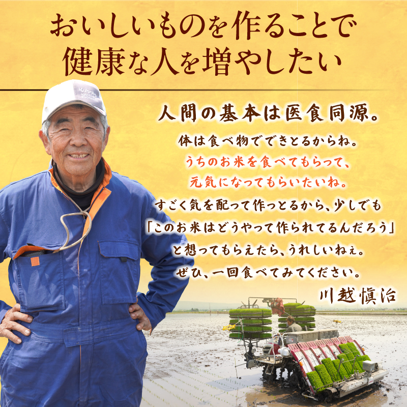 【選べる配送回数！最短4～7営業日でお届け！】令和7年産 川越さんちの おぼろづき 玄米 10kg (5kg×2袋) 雨竜産