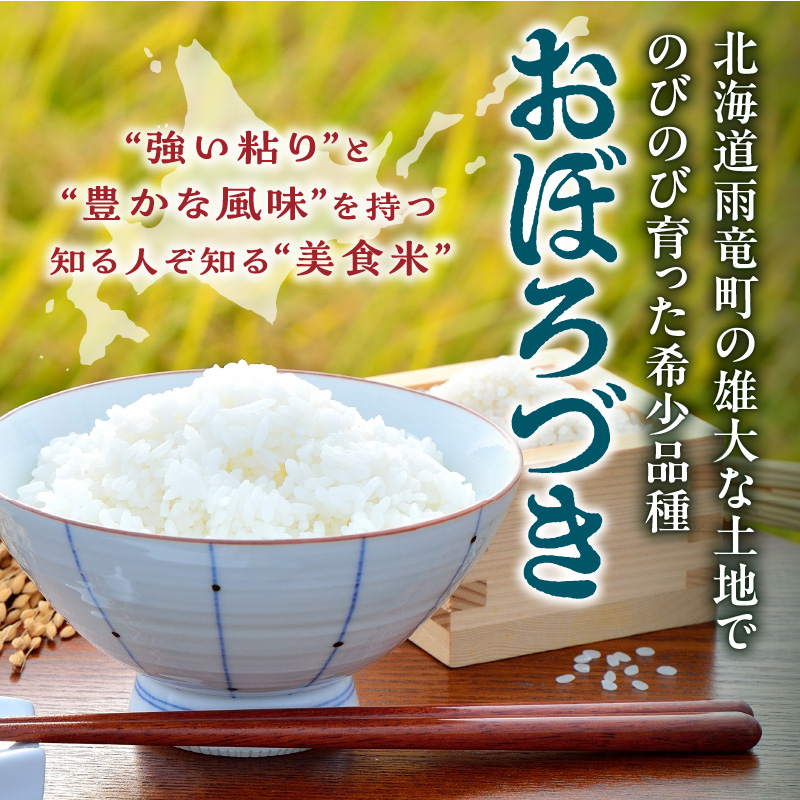 【選べる配送回数！最短4～7営業日でお届け！】令和7年産 川越さんちの おぼろづき 5kg (5kg×1袋) 雨竜産