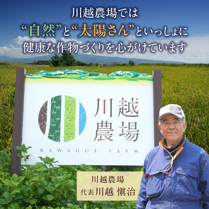 【選べる配送回数！最短4～7営業日でお届け！】令和7年産 川越さんちの おぼろづき 10kg (5kg×2袋) 雨竜産