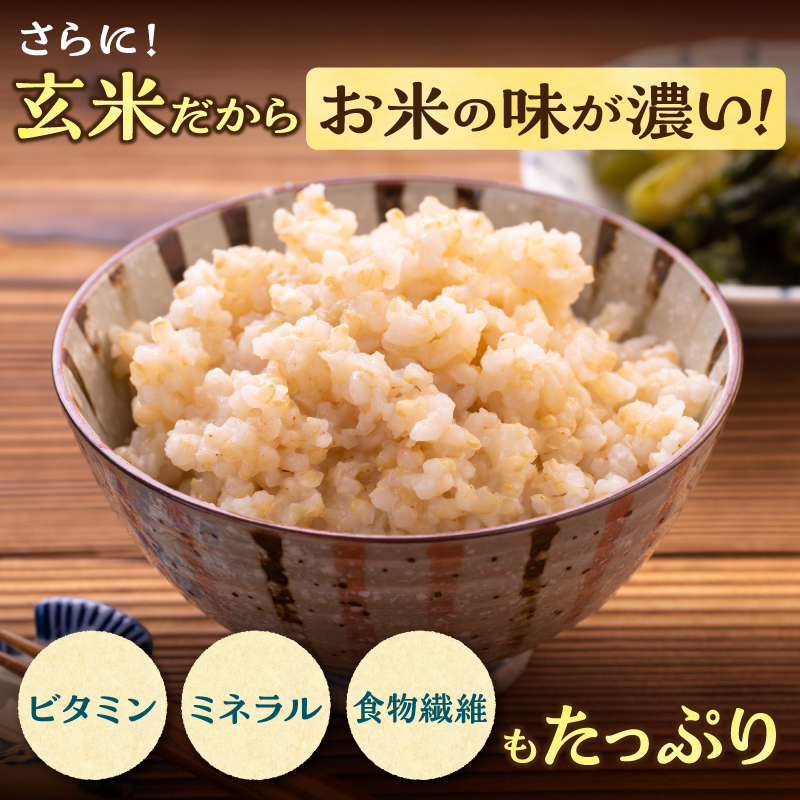 【選べる配送回数！最短4～7営業日でお届け！】令和7年産 川越さんちの おぼろづき 玄米 5kg (5kg×1袋) 雨竜産