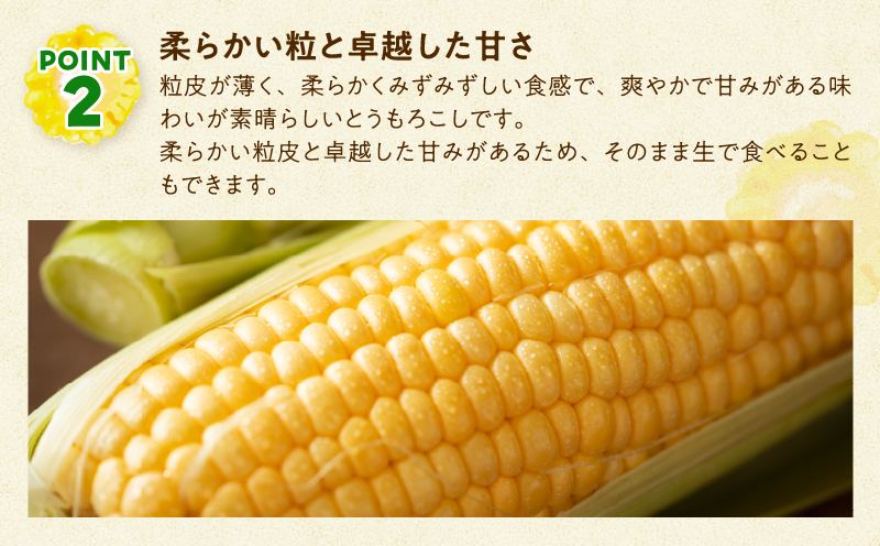 【令和8年産先行受付】生でも美味しい！ とうもろこし 「 サニーショコラ 」 10本（Lサイズ）【配送不可地域：沖縄・離島】