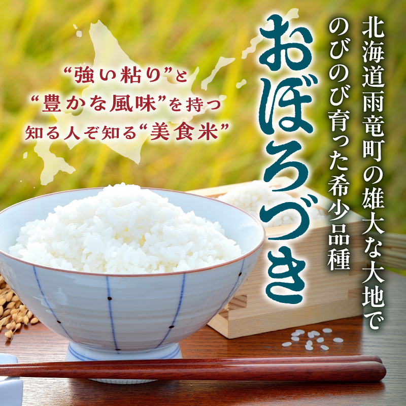【定期便全4回】令和7年産 川越さんちの おぼろづき 5kg（5kg×1袋）毎月1回お届け 雨竜産 おぼろづき 精米 定期便 5kg お米 おにぎり お弁当 お取り寄せ 北海道 雨竜町