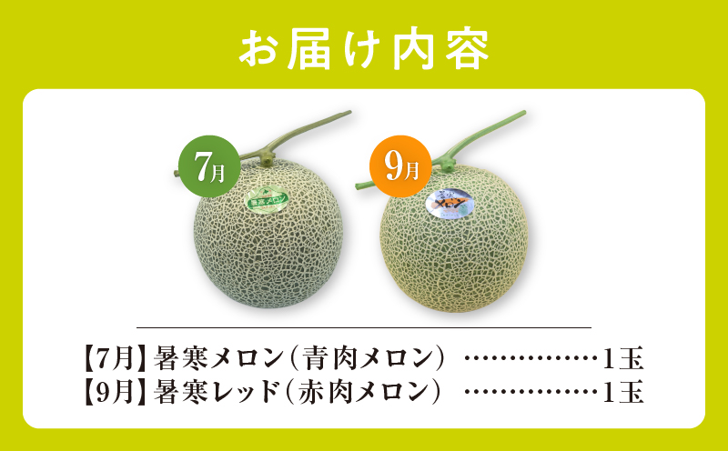 【 7月青肉・9月赤肉発送】北海道の贅沢　暑寒メロン食べ比べ2回便 【各1玉づつ】メロン 定期便 食べ比べ 先行予約 北海道 赤肉 青肉 糖度 14度以上 2026年 7月 9月 ブランドメロン