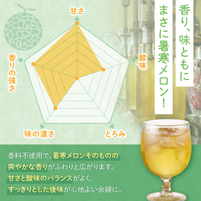 【選べる数量】暑寒メロンリキュール 300ml × 1~2本