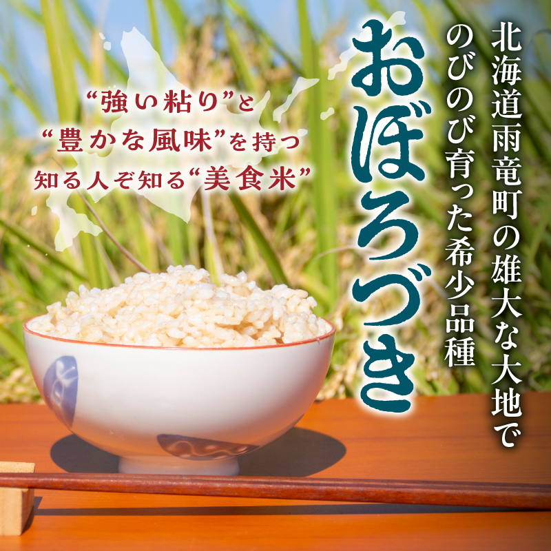【定期便全4回】令和7年産 川越さんちの おぼろづき 玄米 5kg（5kg×1袋）毎月1回お届け 雨竜産 おぼろづき 玄米  定期便 5kg お米 おにぎり お弁当 お取り寄せ 北海道 雨竜町