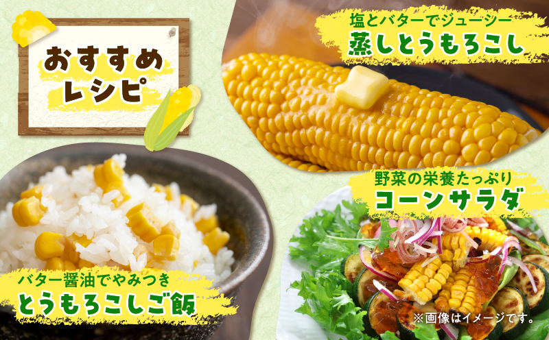 【令和8年産先行受付】生でも美味しい！ とうもろこし 「 サニーショコラ 」 10本（Lサイズ）【配送不可地域：沖縄・離島】