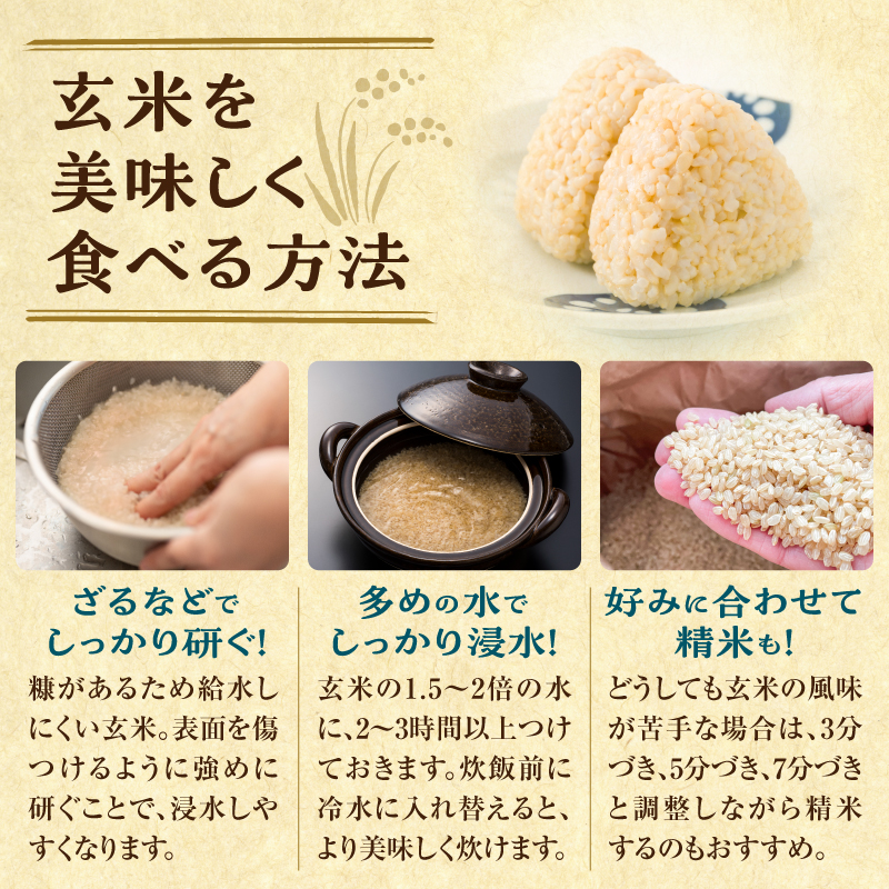 【定期便全6回】令和7年産 川越さんちの おぼろづき 玄米 5kg（5kg×1袋）毎月1回お届け 雨竜産 おぼろづき 玄米  定期便 5kg お米 おにぎり お弁当 お取り寄せ 北海道 雨竜町