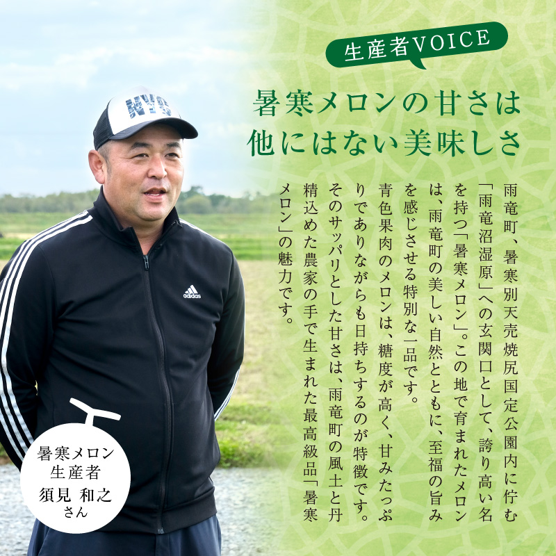 【令和8年産先行予約】北海道産 暑寒メロン 1玉 (1.6kg以上×1箱) 《2026年7月より発送予定》 メロン 先行予約 北海道 青肉 糖度 14度以上 2026年 7月 ブランドメロン