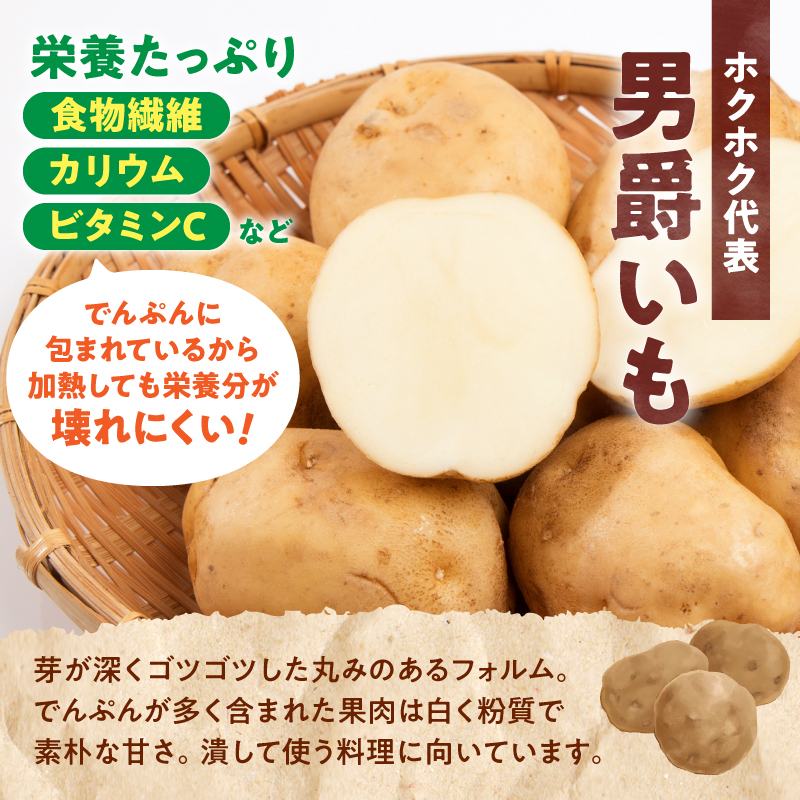 【先行予約】【9月下旬発送】北海道産 じゃがいも 男爵 10kg  男爵芋 ジャガイモ 芋 いも 秋野菜 季節の野菜 直送農場 北海道雨竜町産 サイズ混同 野菜 U012-0004