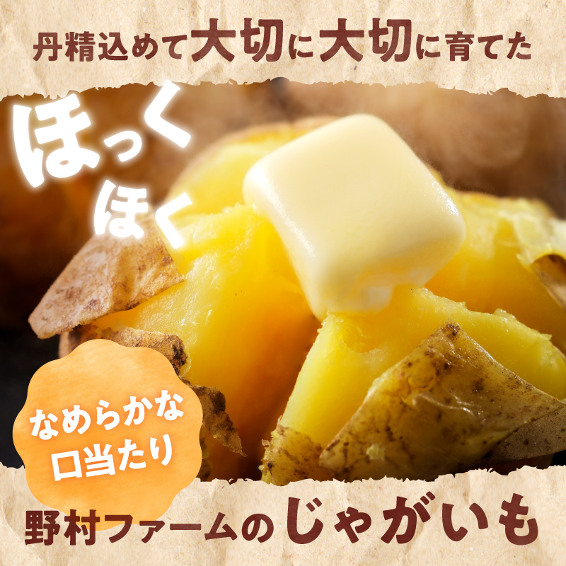 【先行予約】【9月下旬発送】北海道産 じゃがいも食べ比べセット 「きたあかり・男爵」 10kg  ジャガイモ 芋 いも 秋野菜 季節の野菜 直送農場 北海道雨竜町産 サイズ混同 野菜 U012-0006