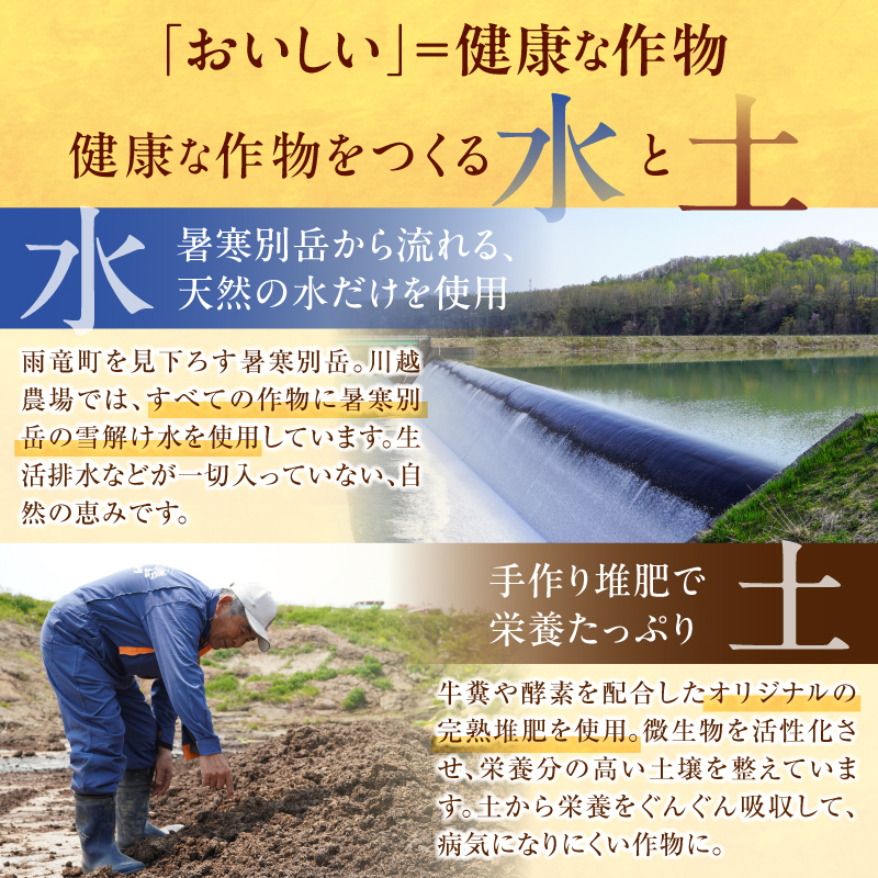 【定期便全4回】令和7年産 川越さんちの おぼろづき 玄米 10kg（5kg×2袋）毎月1回お届け 雨竜産 おぼろづき 玄米  定期便 10kg お米 おにぎり お弁当 お取り寄せ 北海道 雨竜町