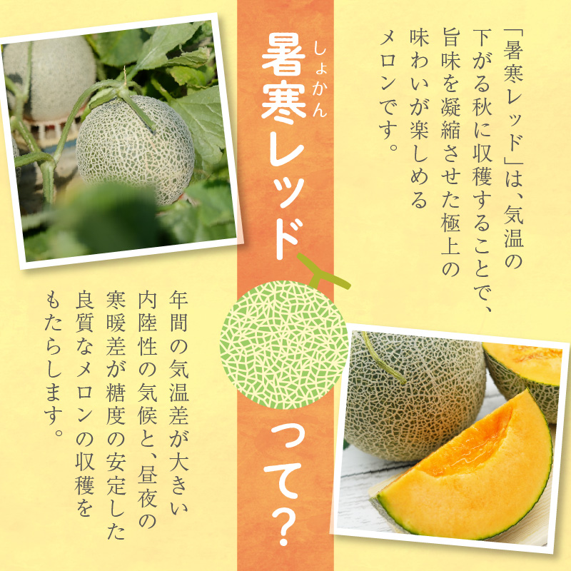 【令和8年産先行予約】北海道メロン 暑寒レッド 4〜5玉 (8kg以上×1箱)《2026年9月より発送予定》メロン 先行予約 北海道 赤肉 糖度 14度以上 2026年 9月 大容量 ブランドメロン