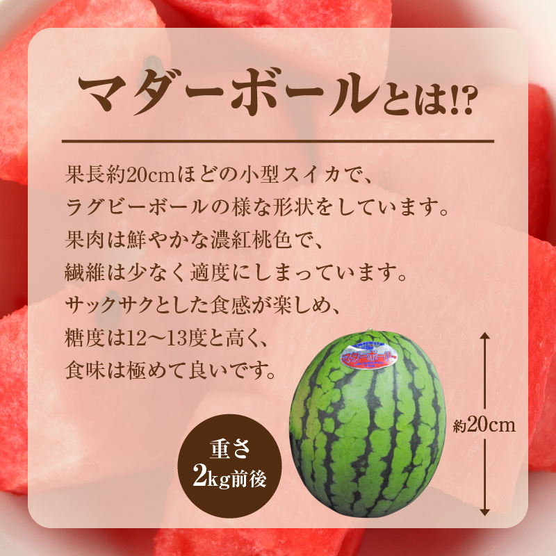 【関東地方までの配送】【令和8年産先行受付】北海道雨竜町産 小玉スイカ 「マダーボール」2玉